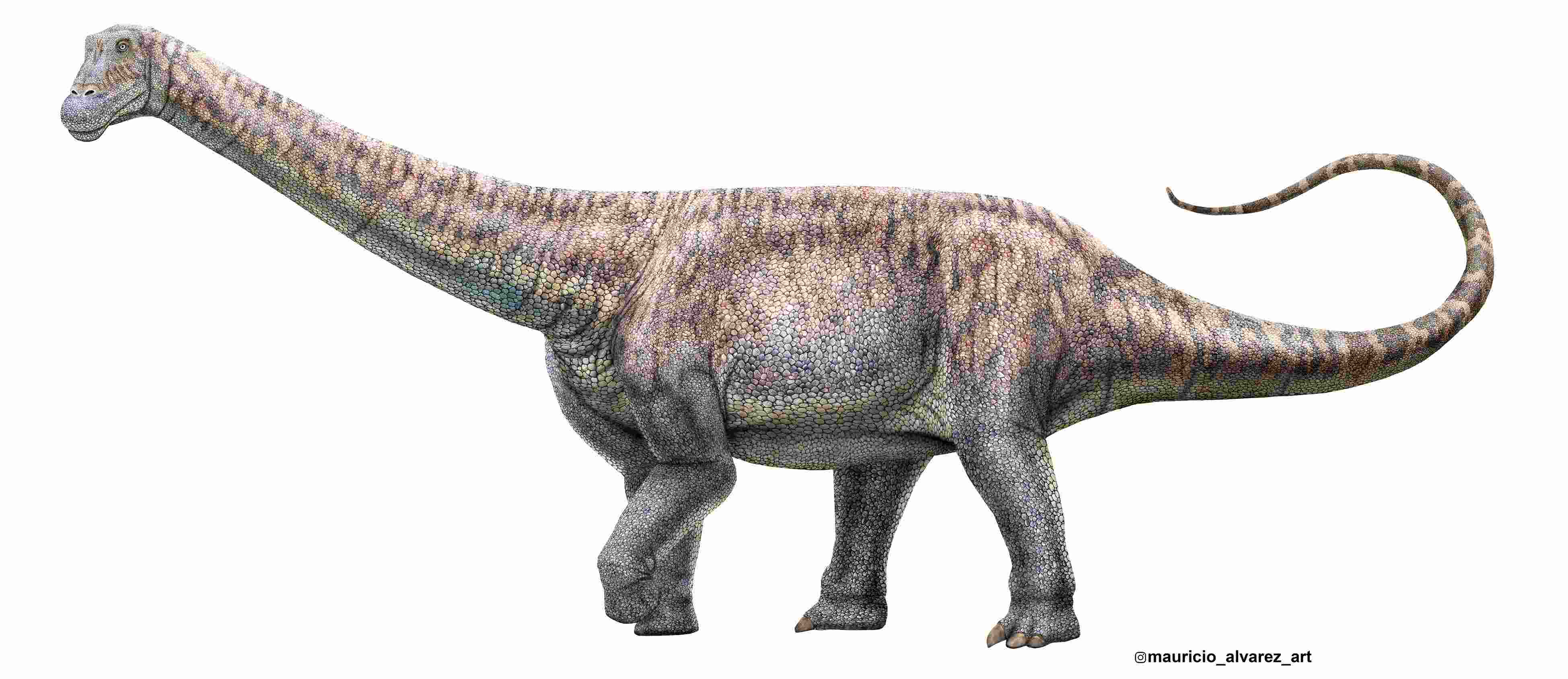 Brontosaurus nama nama dinosurus