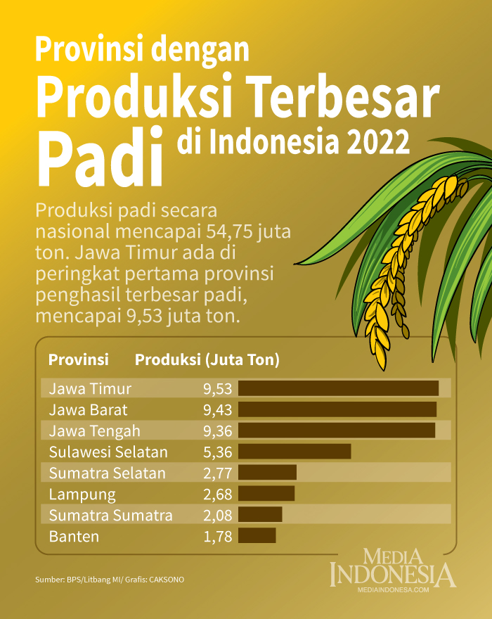Provinsi dengan Produksi Terbesar Padi di Indonesia 2022