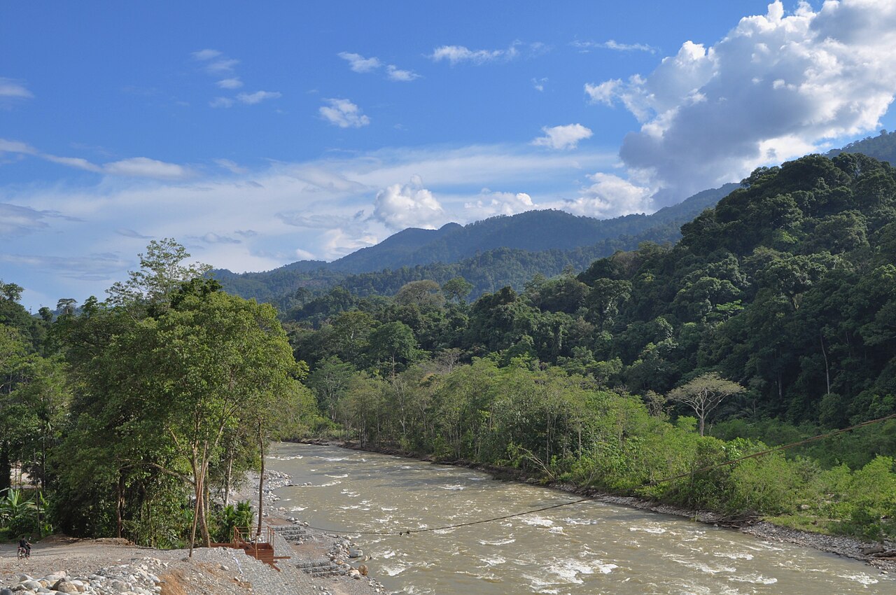 Hutan Ketambe