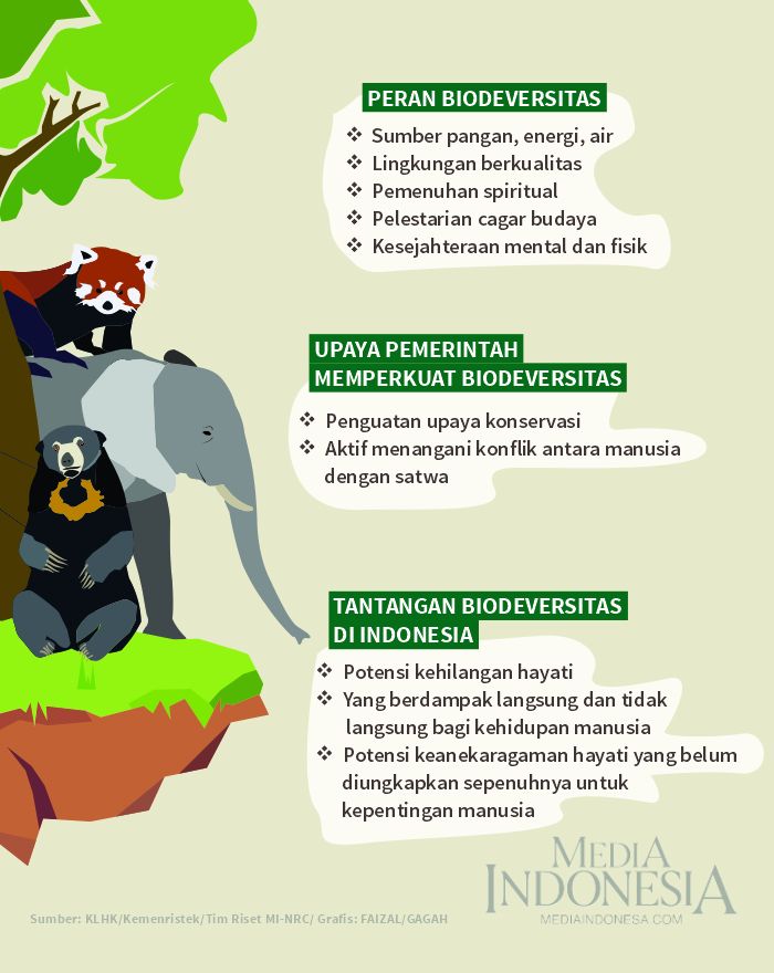 10 Fakta Menarik tentang Keanekaragaman Hayati Indonesia