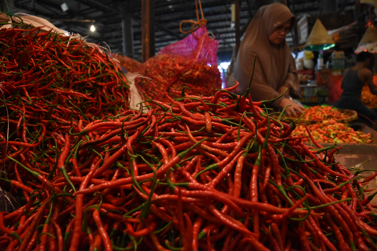 Harga Cabai Merah di Aceh Capai Rp50 Ribu Per Kg