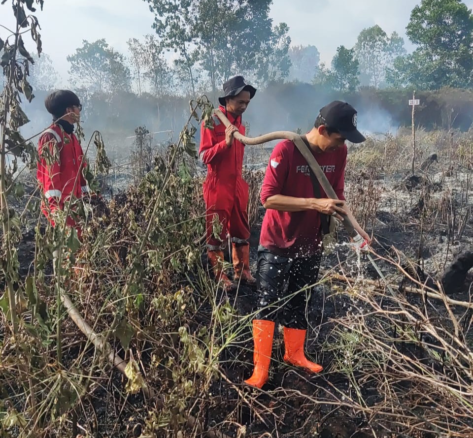 Tim Restorasi Gambut Kalimantan Selatan Lakukan Pembasahan Gambut 3698