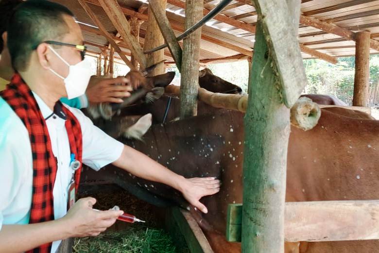 Di Sumsel, Mentan SYL Panen dan Gerakkan Serap Gabah