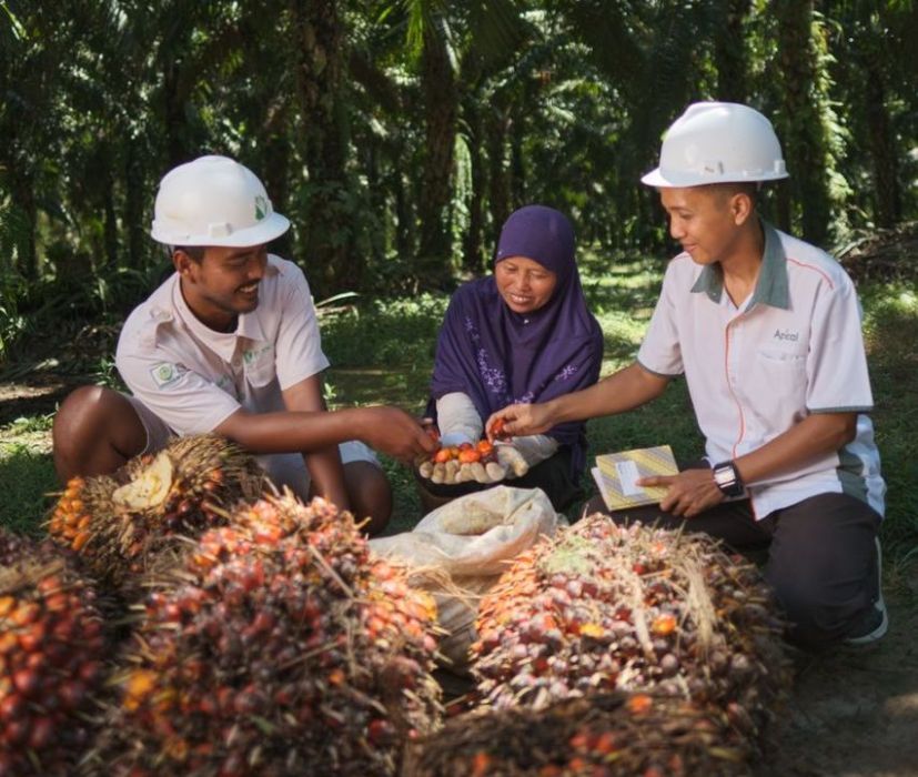 Apical Raih Lima Penghargaan Sustainable Business Award Indonesia 2020-2021 