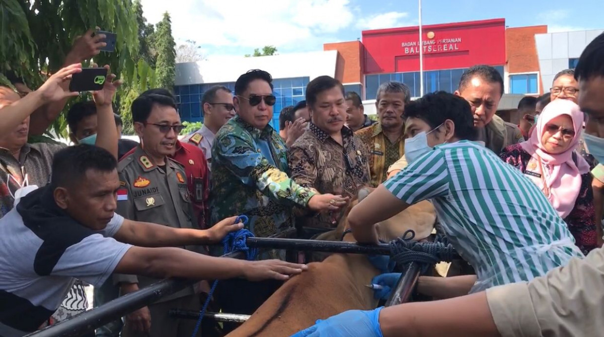 Jelang Idul Adha, Kementan Turunkan Tim Pemantau Hewan Kurban 