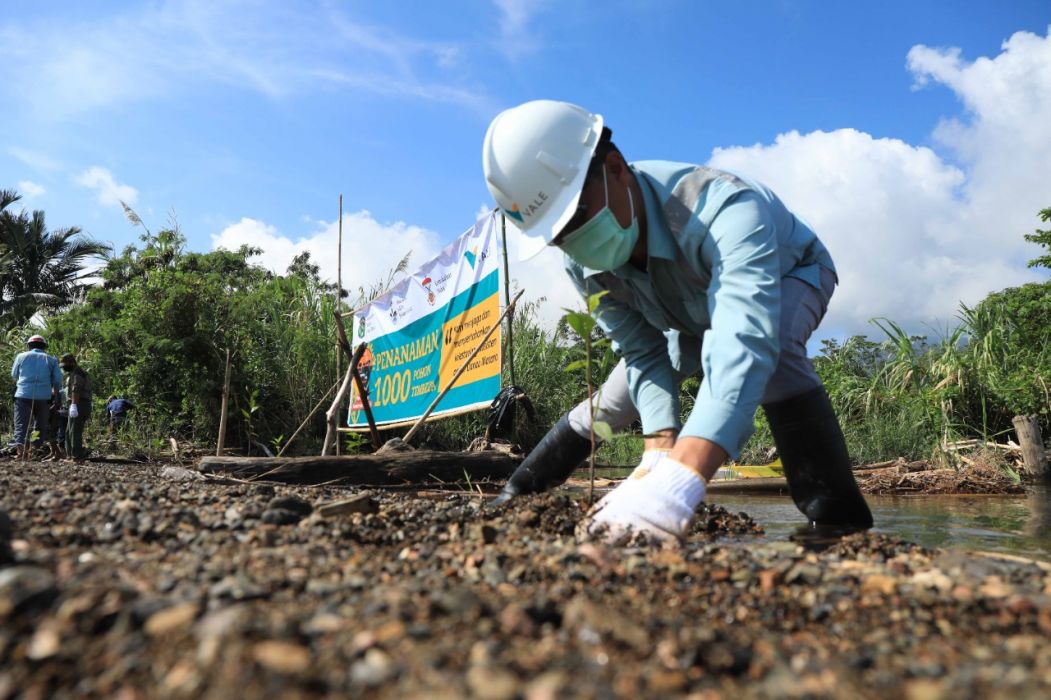 Upaya mengatasi lahan kritis kawasan hutan lindung, di Desa Kawata dan Desa Ledu-Ledu, Kecamatan Wasuponda, Kabupaten Luwu Timur, Sulawesi Selatan.