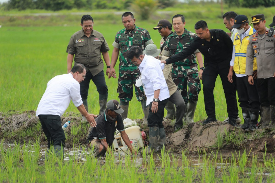 Perkuat Produksi, Mentan SYL Kawal Gerakan Tanam di Food Estate Kapuas