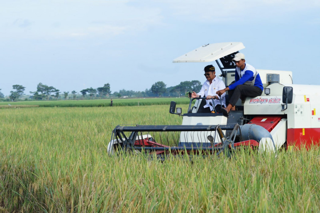 Panen Padi di Kabupaten Bekasi Melimpah, ini Pesan dan Harapan Petani