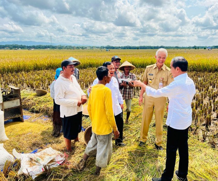 Presiden Joko Widodo meninjau panen raya padi dan berdialog dengan petani di Desa Lajer, Kecamatan Ambal, Kabupaten Kebumen, Jawa Tengah, Kamis (9/3).