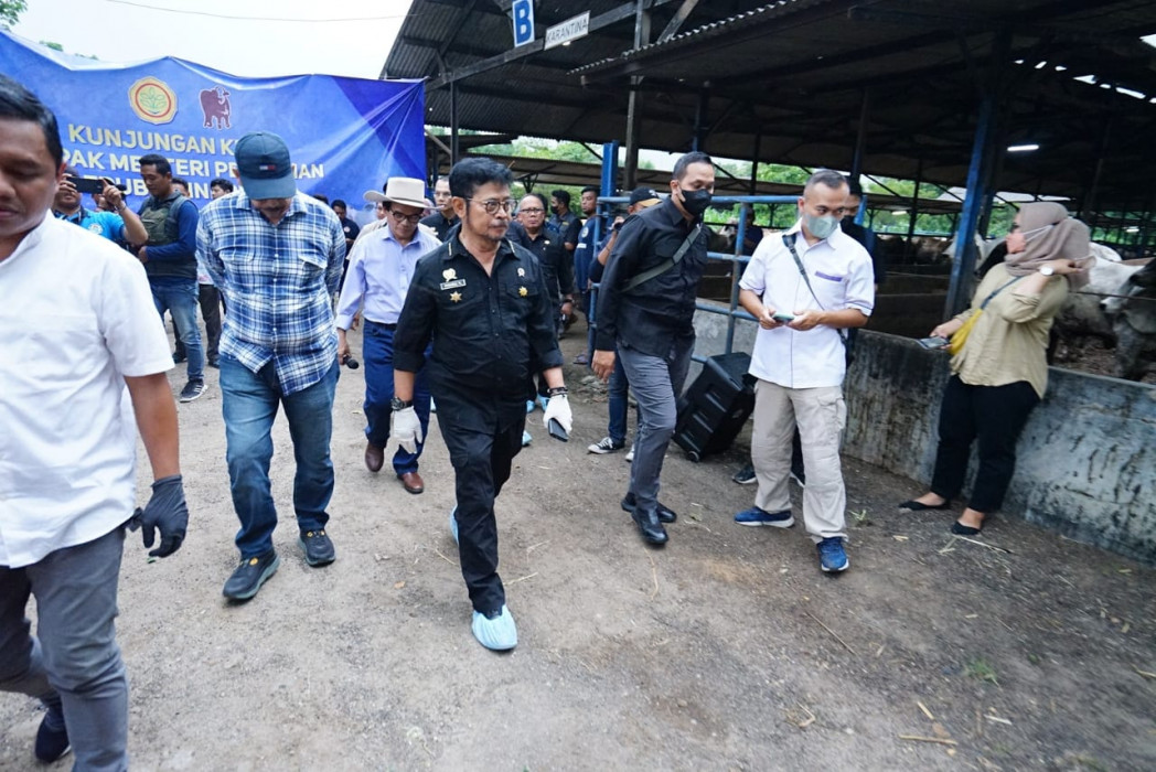 Pantau Ternak Sapi di Bekasi, Mentan SYL Pastikan Ketersediaan Jelang HBKN Aman