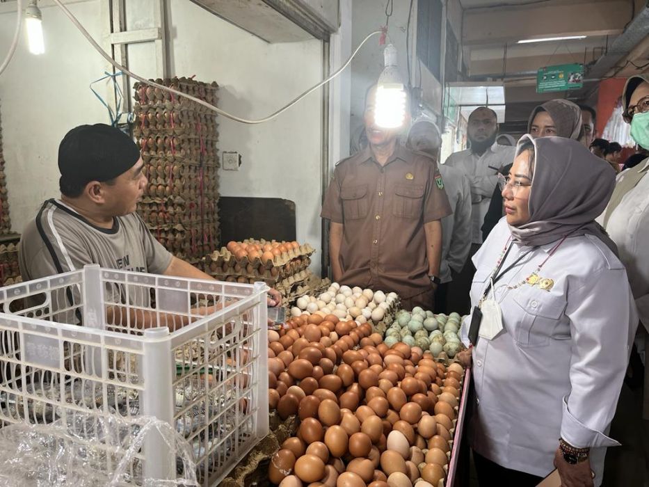 Direktur Pembiayaan Ditjen Prasarana dan Sarana Pertanian Kementan, Indah Megahwati memimpin sidak pertamanya di Pasar Raya Padang, Sebar, Sumbar. 