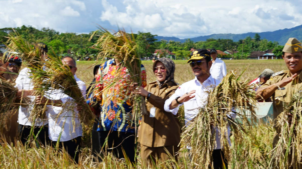 Mentan SYL Bersyukur Kabupaten Klaten Panen Padi IP400