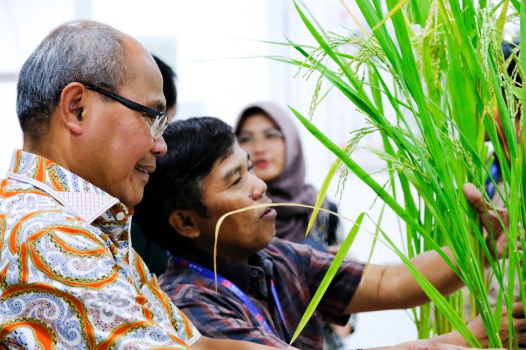 Rice Business Head PT WPI mendengar penjelasan mengenai perakitan benih varietas unggul baru Wigenta dari Peneliti Pusat Genetika BRIN Reflinur usai konferensi pers dengan media di kantor BRIN, Bogor. 

