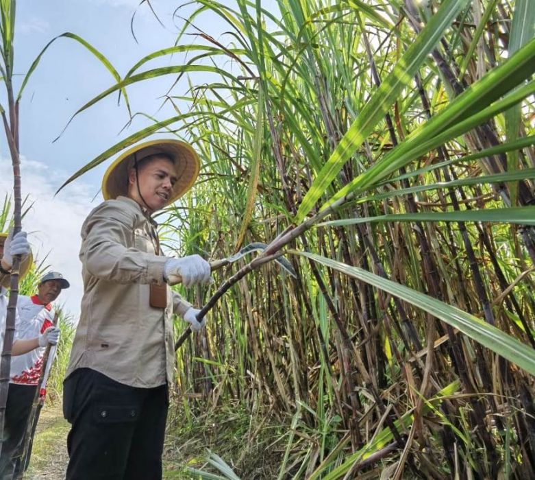 Tingkatkan Protas Tebu Menuju Swasembada Gula Nasional