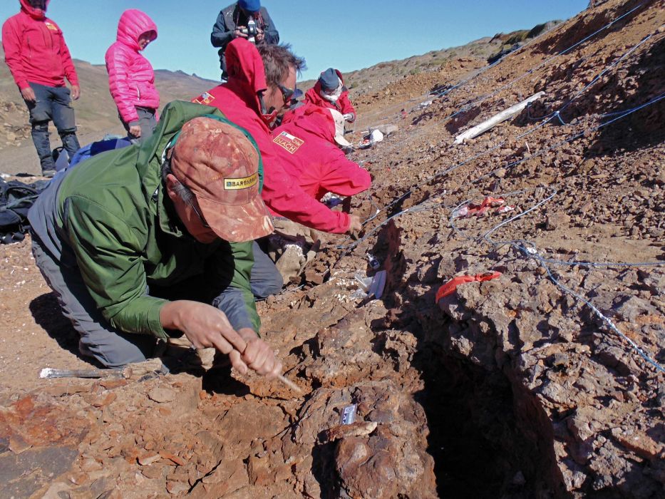Para arkeolog di Cile sedang melalkukan penggalian