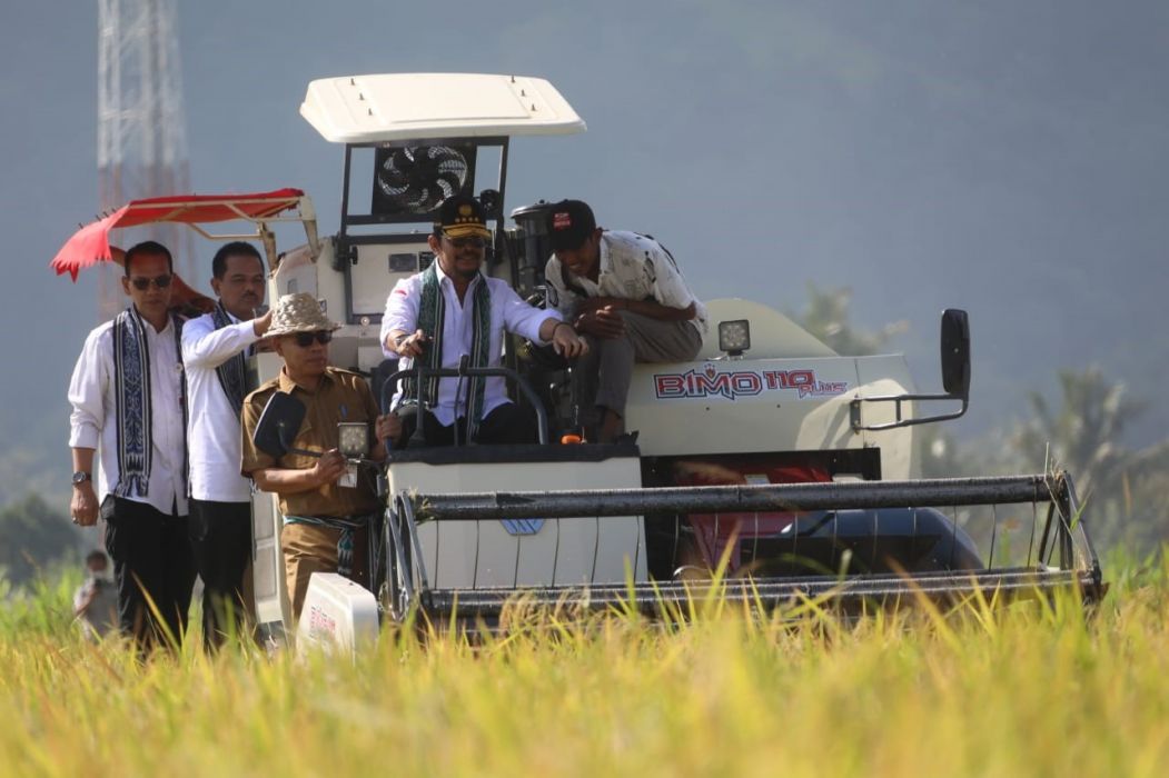 Panen Padi di Lombok Barat, Mentan SYL Ajak Petani Bersama Hadapi EL Nino
