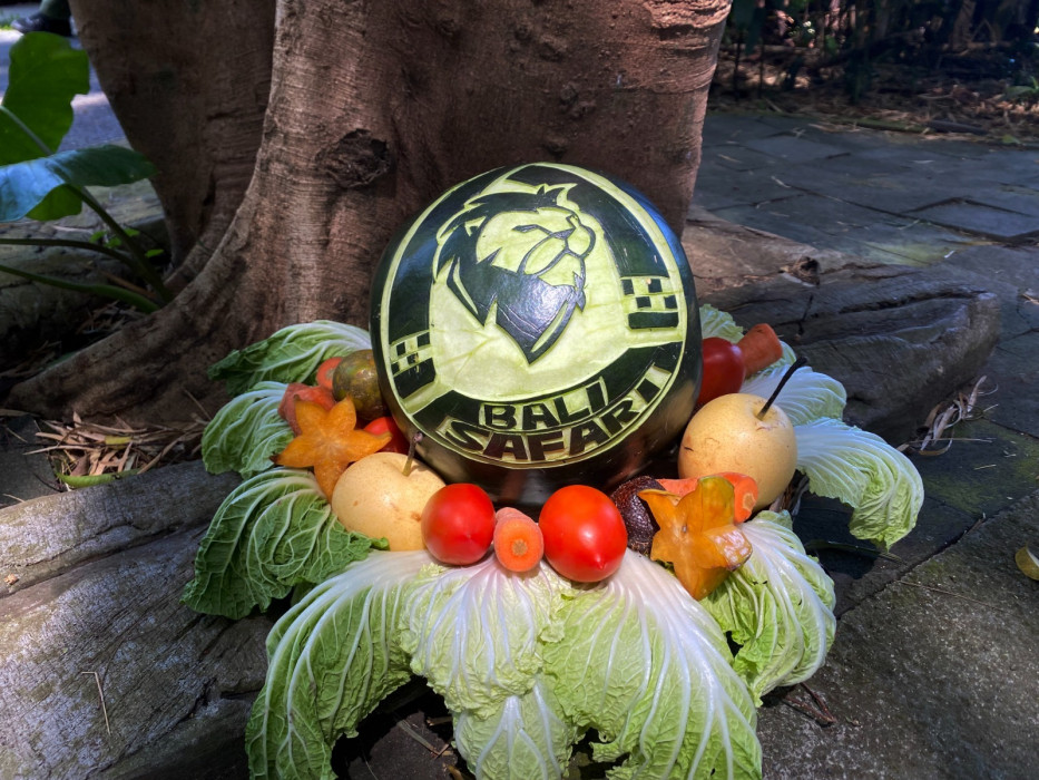 Kegiatan Spesial Meriahkan Perayaan Hari Orangutan Sedunia di Bali Safari