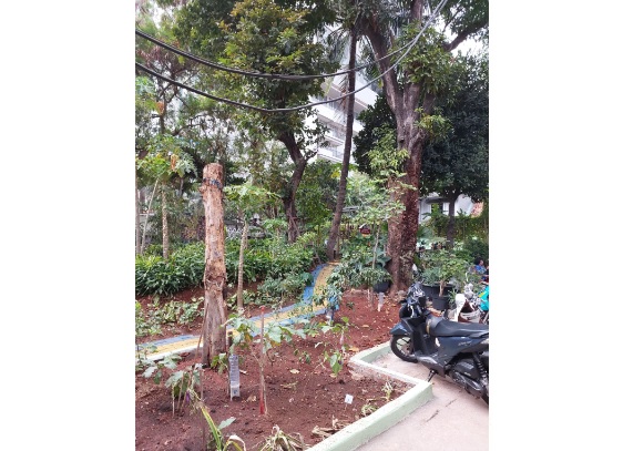 Salah satu taman di RW 6 Kebon Melati yang ditanami terong.