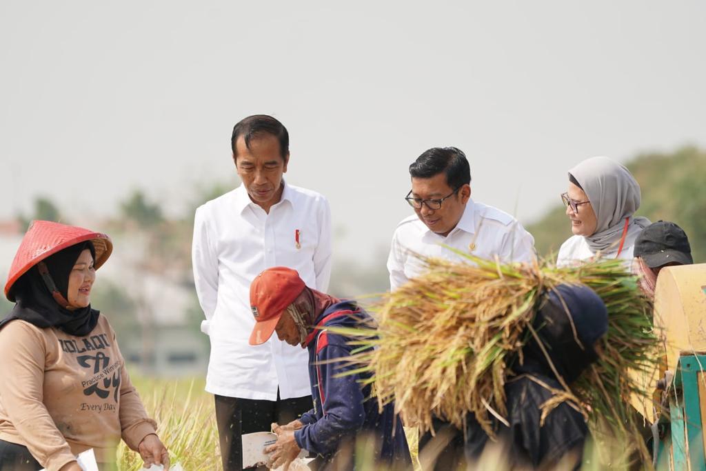  pada Jumat (13/10), Plt Mentan Arief Prasetyo mendampingi Presiden Joko Widodo dalam kunjungan kerja ke Desa Karanglayung, Kecamatan Sukra, Indramayu, Jawa Barat,