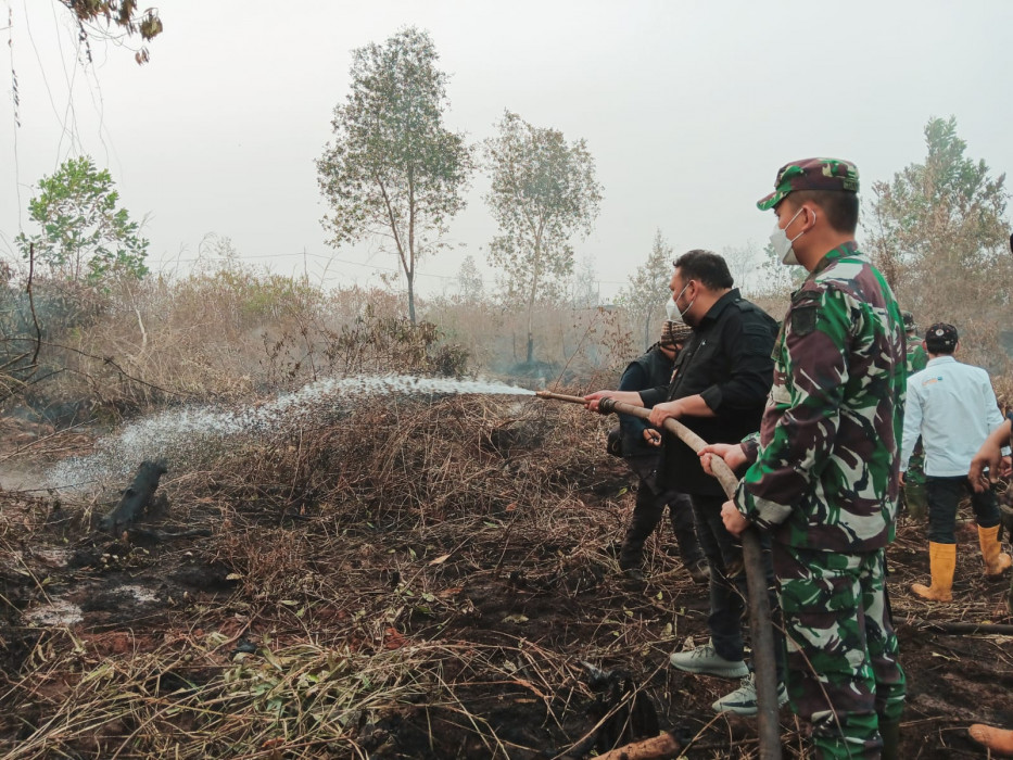Selamatkan Sawit, Kementan Terjun Padamkan Kebakaran Lahan di Kalsel