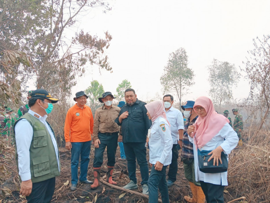 Selamatkan Sawit, Kementan Terjun Padamkan Kebakaran Lahan di Kalsel