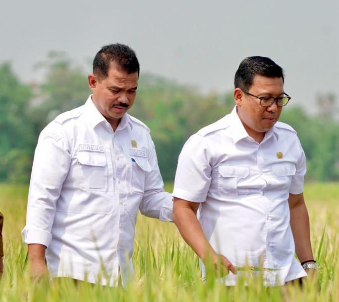 Plt Mentan Arief Prasetyo Adi dan Wakil Bupati Sukoharjo Agus Santosa melakukan panen dan tanam padi di Desa Karangwuni Kecamatan Polokarto, Kabupaten Sukoharjo, Jateng.
