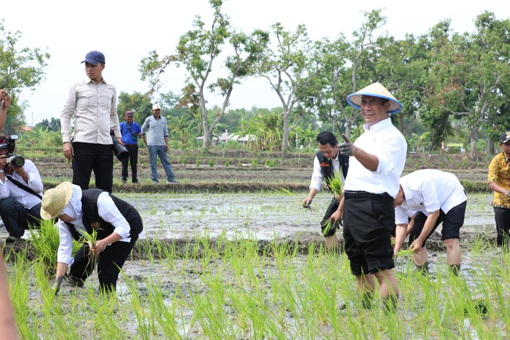 Hima IPB: Kami Dukung Kementan Optimalkan Lahan Rawa Jadi Lahan Produktif