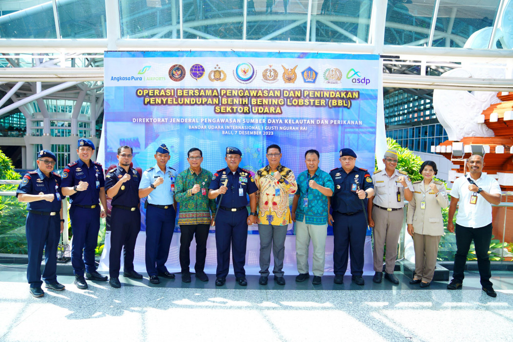 KKP Awasi Potensi Penyelundupan Benih Lobster di Bandara Ngurah Rai