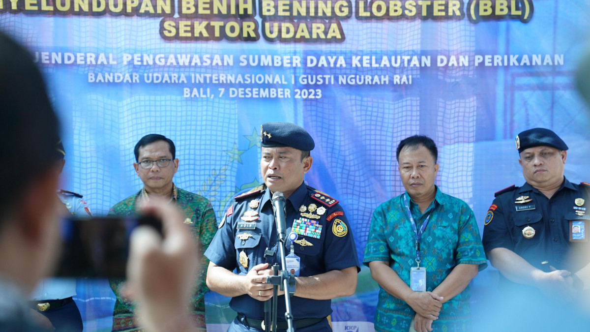 KKP Awasi Potensi Penyelundupan Benih Lobster di Bandara Ngurah Rai