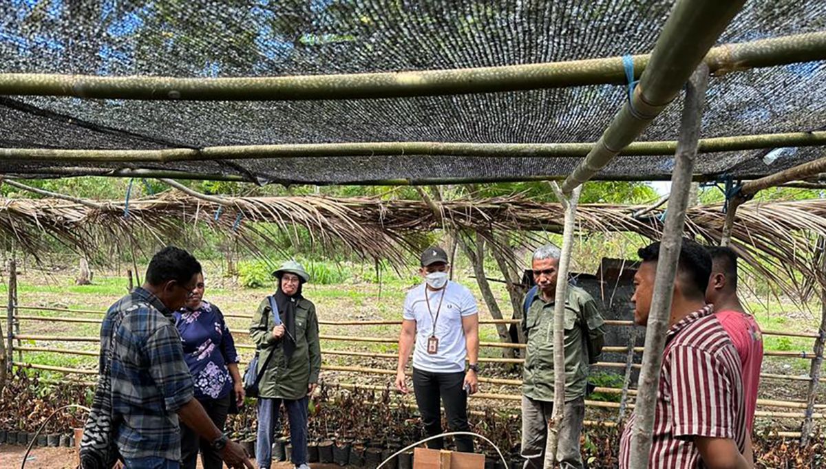 Kementan Pacu Tanam Kopi, Berikan Bantuan Benih Kopi dan Sarana Produksi Perkebunan, Kobarkan Semangat Pekebun Maluku Tenggara