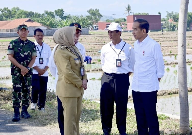 Presiden Jokowi dan Mentan Andi Amran Sulaiman mengunjungi Kabupaten  Pekalongan, Jawa Tengah, 