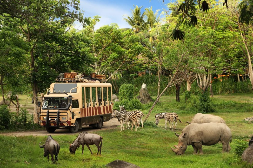 Taman Safari Bali menjadi destinasi ideal untuk mengakhiri tahun dengan keceriaan dan petualangan yang luar biasa.