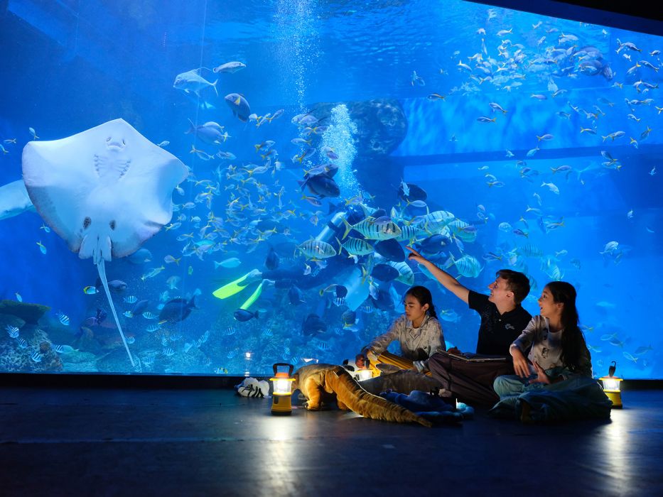 Vertu & Yello Hotels Harmoni Hadirkan Perayaan Akhir Tahun 'Under the Sea' yang Spektakuler