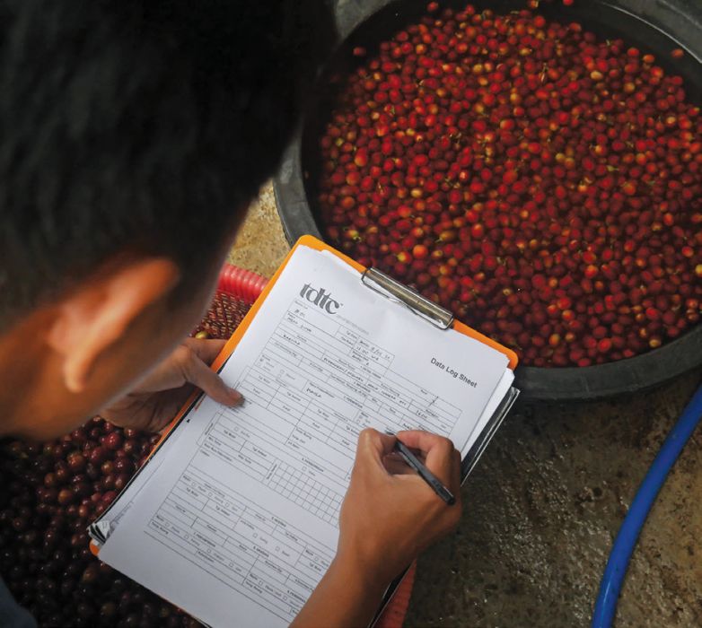 Founder The Dancing Tongue Club Firmansyah
mengumpulkan data selama proses pascapanen
kopi berjalan.