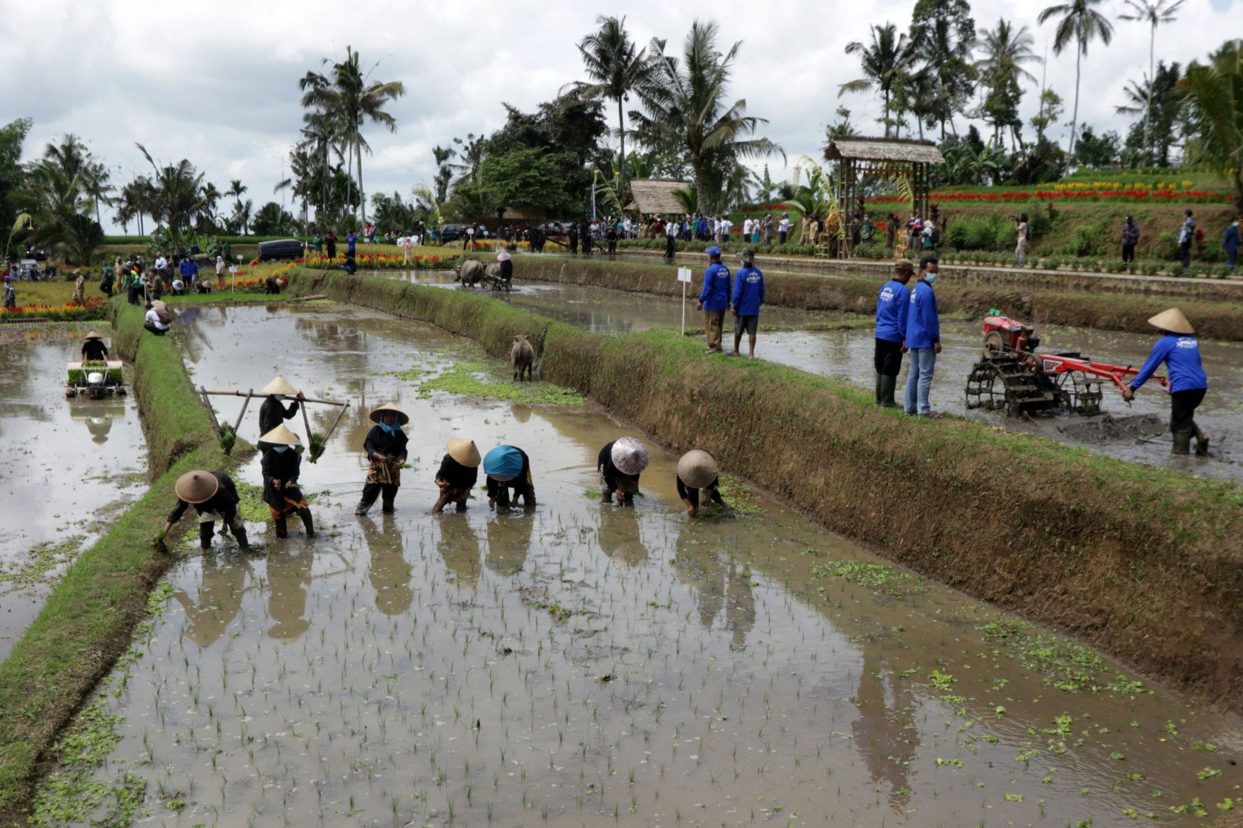 Hasil utama dari pertanian myanmar adalah