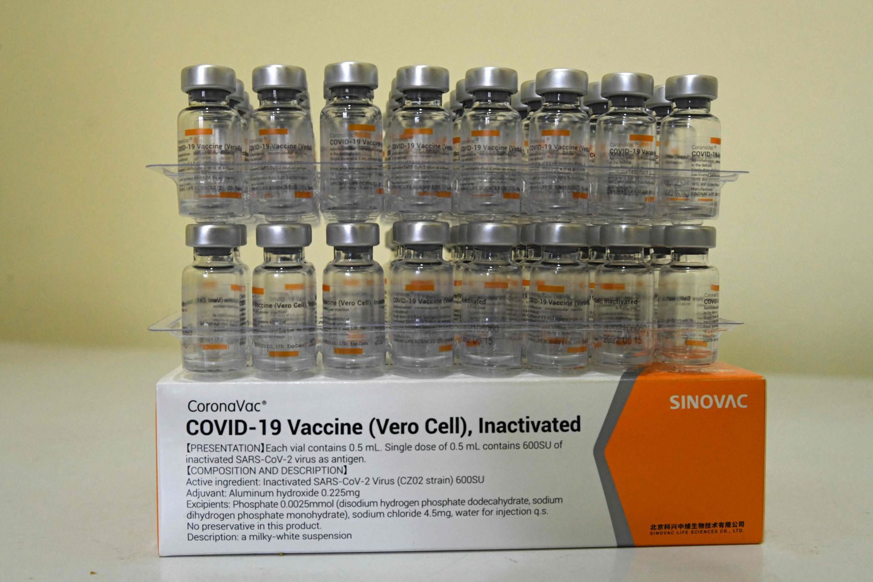 Apakah vaksin sinovac aman untuk anak anak