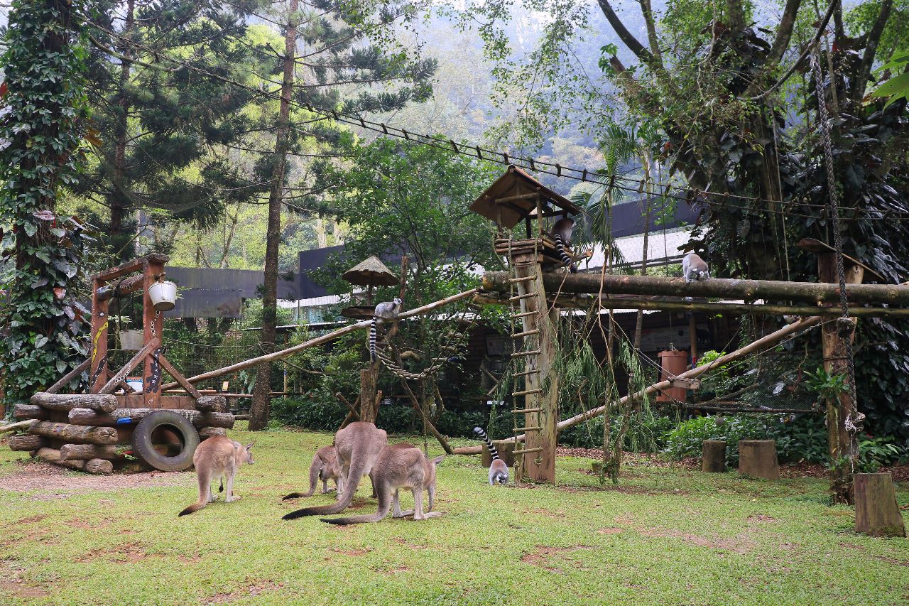 Ist/Taman Safari Bogor. 