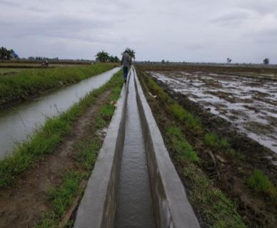 Perbaikan Irigasi Tingkatkan Pendapatan Petani di Banggai