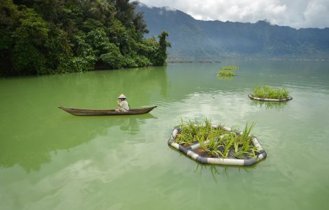 Nelayan melintas di kawasan konservasi Wetland, Danau Maninjau, Kabupaten Agam, Sumbar.