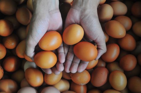 Harga Telur di Palu Terus Naik, Dijual Rp3 Ribu per Butir