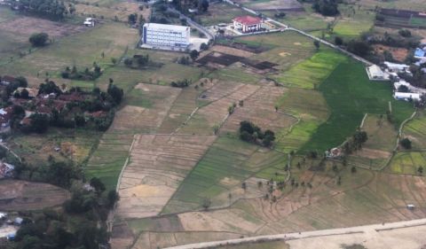 Dampak El Nino, 90 Hektare Sawah Kupang Gagal Tanam