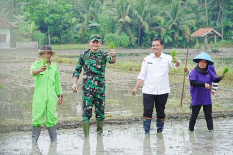 Kementan dan Kodim 0613/Ciamis untuk melakukan Gerakan Percepatan Tanam Pengendalian Hama Terpadu di Kabupaten Ciamis, Jawa Barat. 