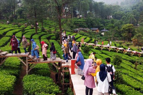 Rekomendasi Wisata di Puncak Bogor, Cocok Dikunjungi saat Liburan dengan Keluarga