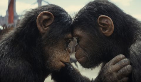 Adegan di film Kingdom of the Planet of the Apes.