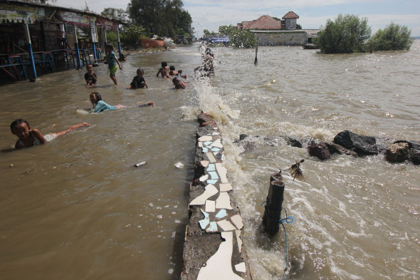 Banjir Rob Landa Pesisir Surabaya