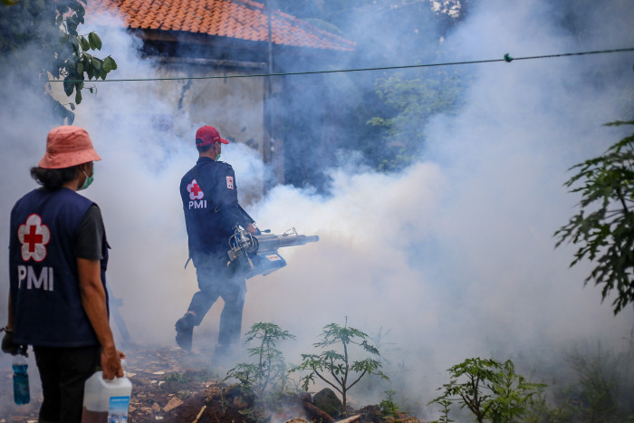 Wabah Chikungunya Serang 45 Orang Warga Cianjur