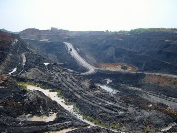 Perusahaan Batu Bara Mendominasi Kasus Covid-19 di Murung Raya