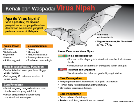 6 Fakta Mengenai Virus Nipah yang Perlu Diketahui 