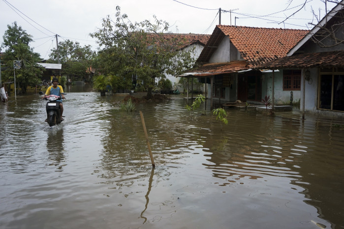Banjir Rendam Kota Pekalongan, 101 Warga Mengungsi