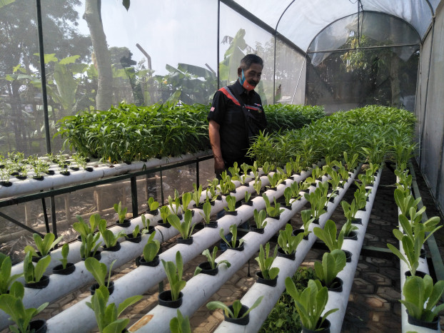 Sekelompok Warga Bandung Sukses Berkebun di Sudut Sempit